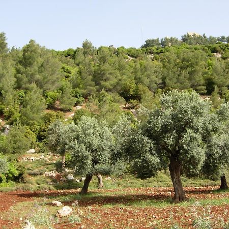 Ajloun Hotel Dış mekan fotoğraf