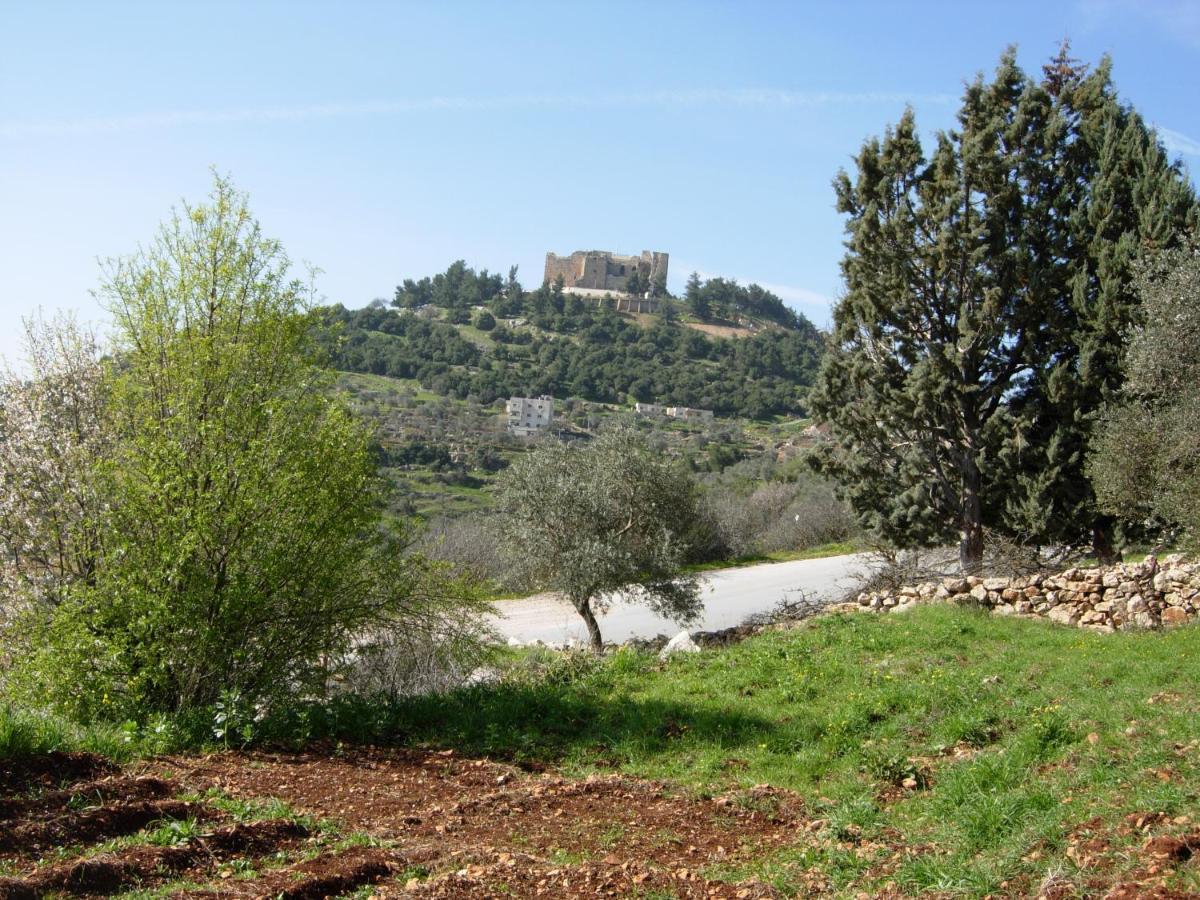 Ajloun Hotel Dış mekan fotoğraf